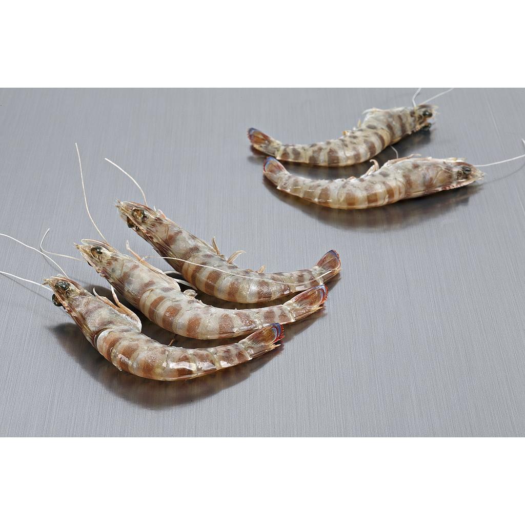 Langostino Cola Pelada Black Tiger 23-28 g/pz (16-20) 10x1kg