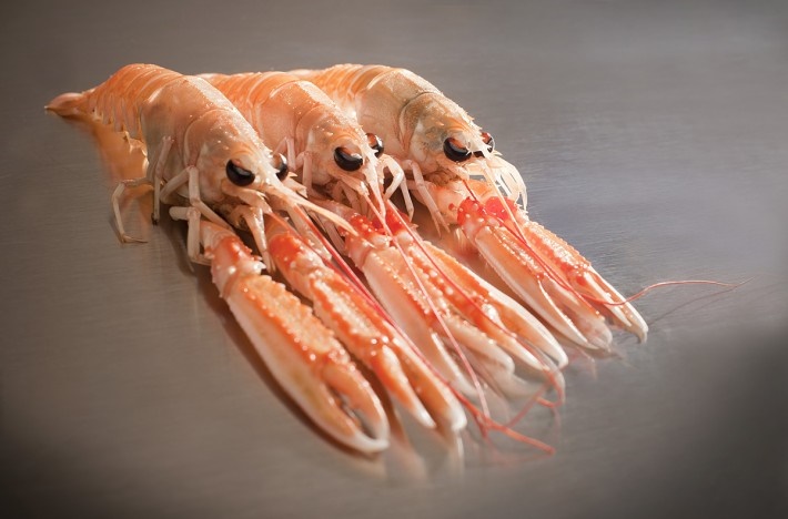 Cigala Escocia 125-170 g/pz (00) 1,250kg 4x1,5kg