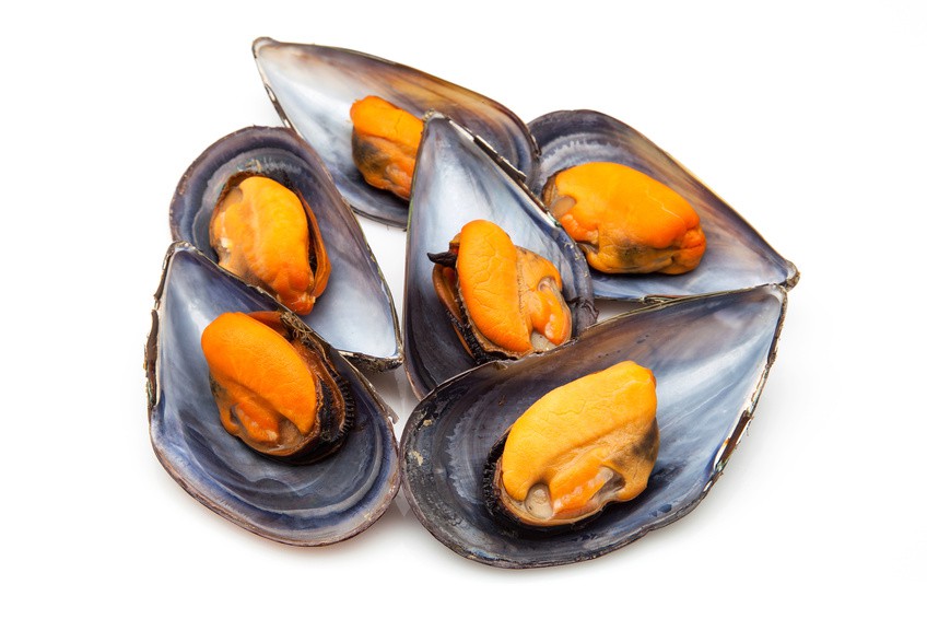 Mejillon Cocido Media Concha Galicia 60-80 pz/kg 9x1kg