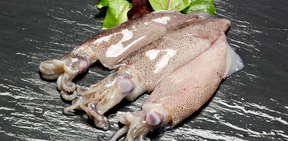 Calamar Bloque Patagonico 6-9 cm (5C) 19,5kg