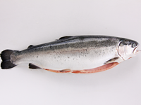 Trucha Eviscerada 200-300 g/pz 5kg