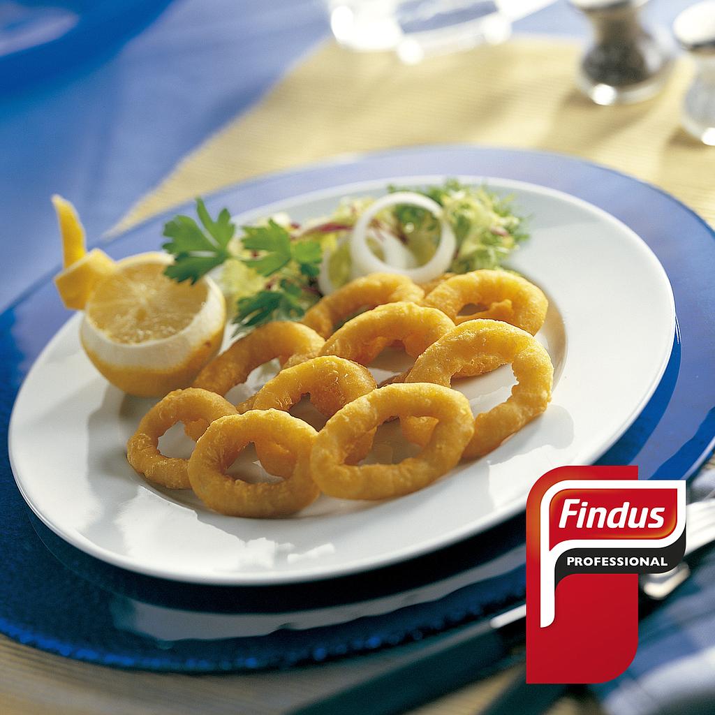 Calamar Romana Compass Findus 1X3Kg. XXX