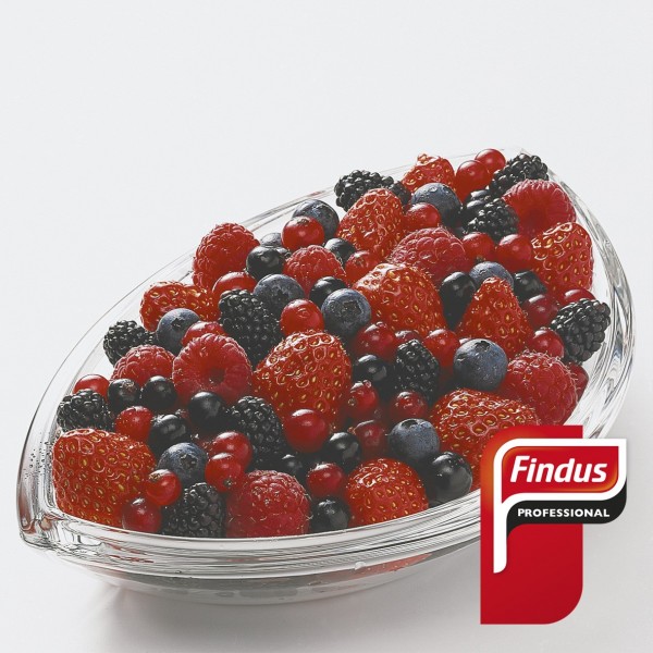 Fruta Del Bosque 6x1kg Findus