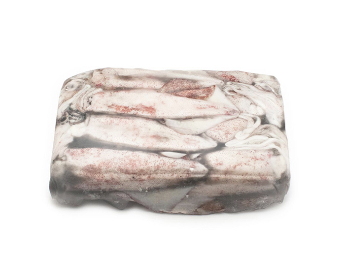 Calamar Indio 100-170 g/pz (6-10) 6kg
