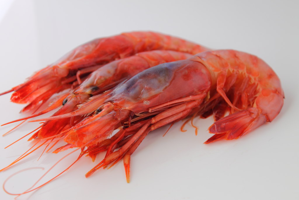 Gamba Alistada 90-120 pza/kg (CHICO) (fn)