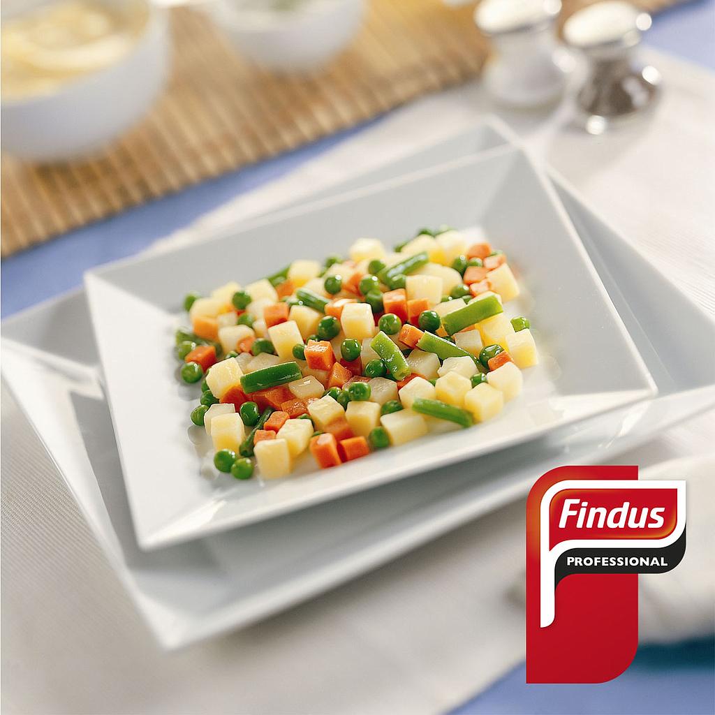 (E)Ensaladilla Clasica Findus 4X2.5Kg.