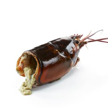 Bogavante Cabezas 12kg Cong