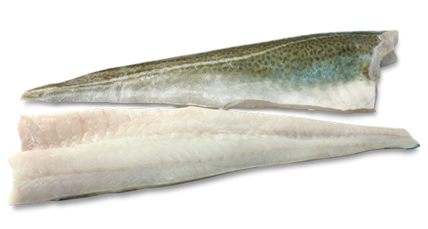 Bacalao Filete 1000+ g/pza 11kg Guillem
