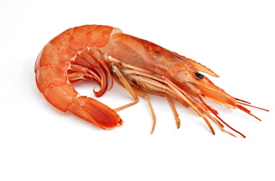 Langostino Abordo Austral 25-35 g/pz (3) (30-40) 6x2kg