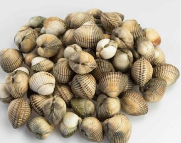 Berberechos Super King [1 Ud/Caja]