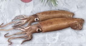 Calamar Patagonico 9-11 cm (4) ±5kg