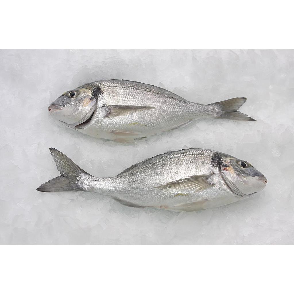 Dorada Piscifactoria Nacional 200-300 g/pz