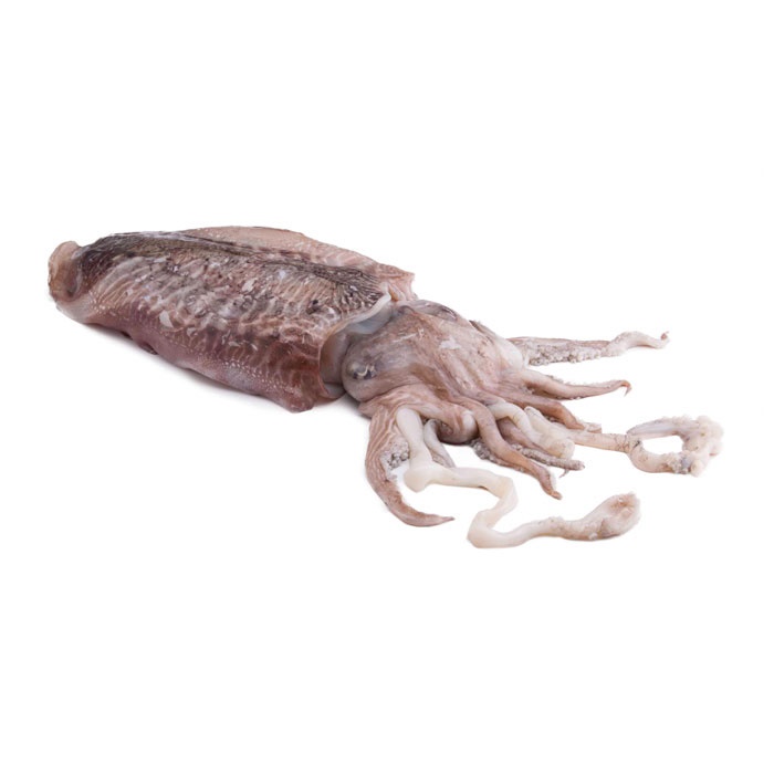 Sepia Mongo Marruecos 3000-5000 g/pz (3)