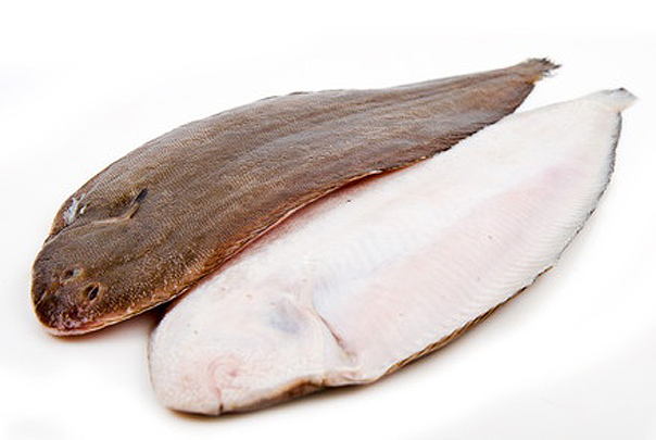 Lenguado Holanda 350-400 g/pz (H2) 5kg