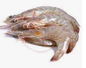 Langostino Vannamei 25-35 g/pz (30-40) 10x2kg