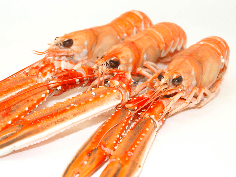 Cigala Escocia 50-70 g/pz (2) 1,350kg 4x1,5kg