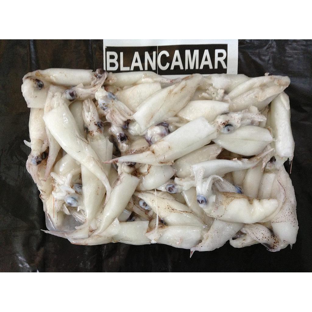 Calamar Puntilla Marroqui  C/10Kg.