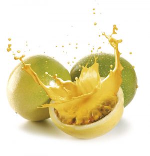 Pulpa Maracuya 100gr. [24un/caja][vta/caja] XXX