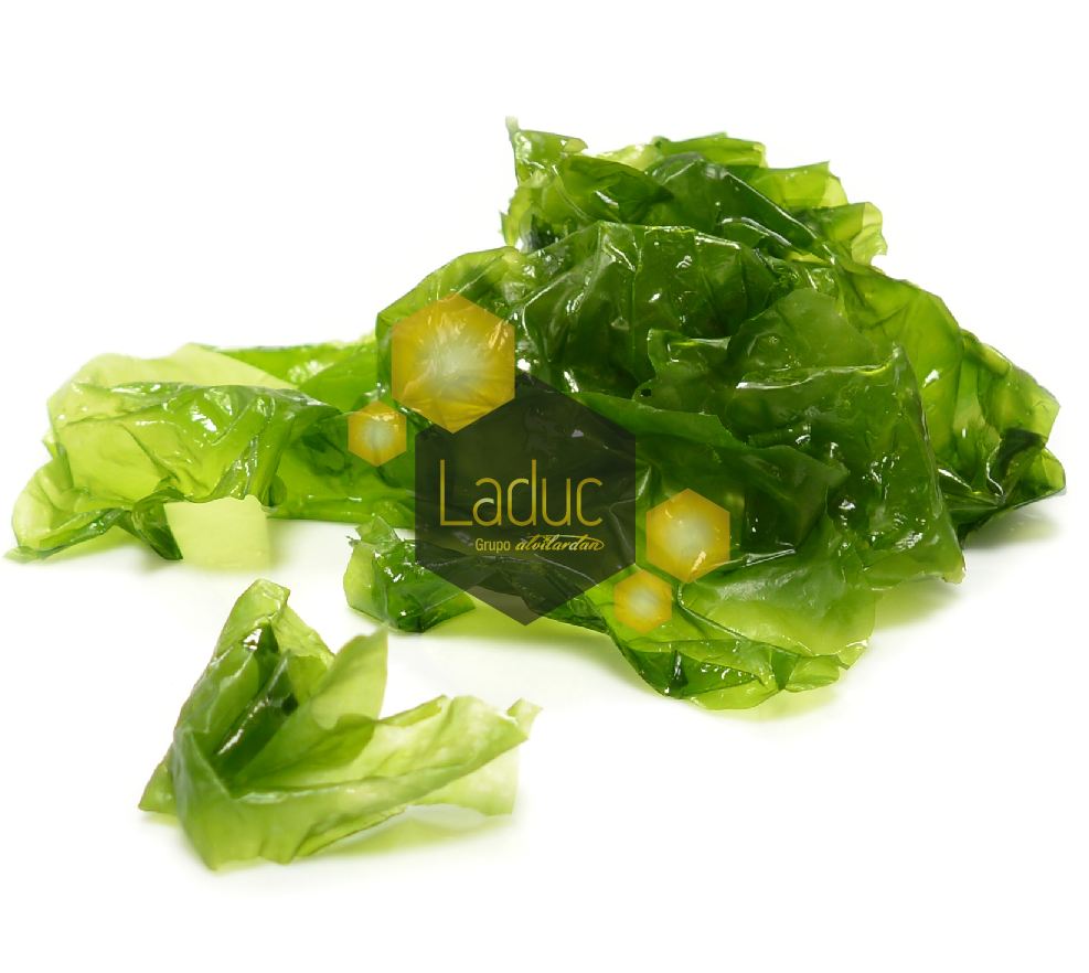 (E) Alga Lechuga De Mar 4x200g
