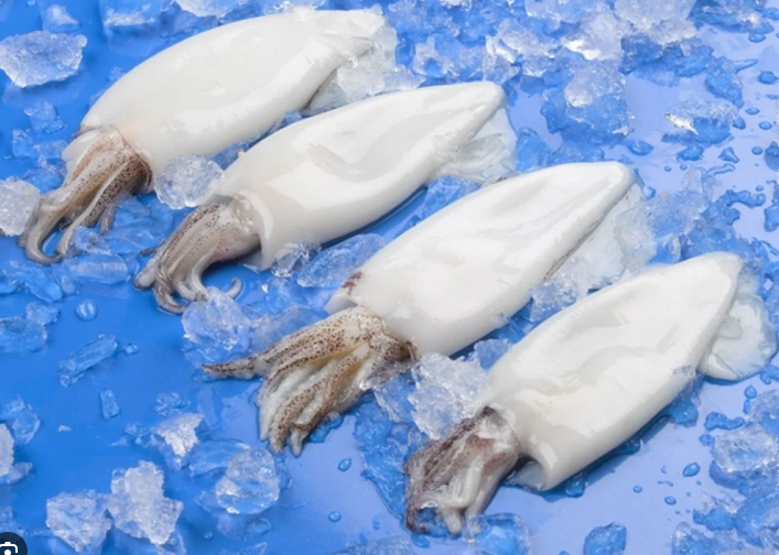 Calamar Limpio Patagonico S/PIEL 6Un x 1kg [vta/caja]