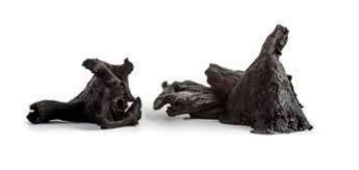 Trompeta Negra 2,5Kg