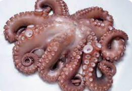 Pulpo T3 Artesanal FAO34 8x 2-3kg/pz [vta/unidad]