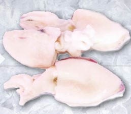 Sepia Limpia Marruecos 200-300 g/pz 6kg