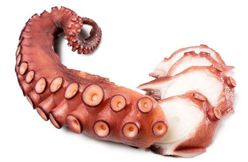 [1119] Pulpo Pata Cocida T6 200-300 g/pz 4x1,5g (6ud)