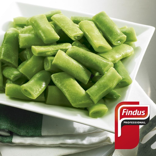 [96024191] Judia Plana Findus 4X2,5Kg. XXX