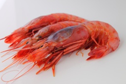 [3321033] Gamba Alistada 90-120 pza/kg (CHICO) (fn)