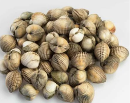 [AR770S] Berberechos Super King [1 Ud/Caja]