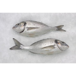 [F3232101] Dorada Piscifactoria Nacional 200-300 g/pz