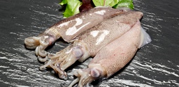 [3322161] Calamar Patagonico 12-15 cm/pza  4L  5Kg.+/- *