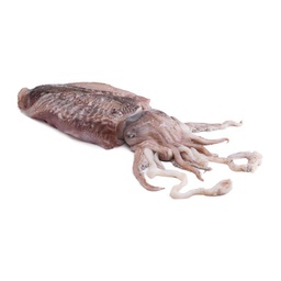 [C3371004] Sepia Mongo Marruecos 3000-5000 g/pz (3)