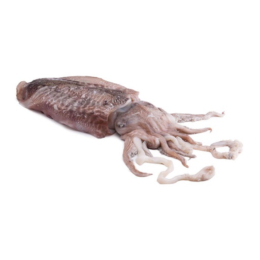 [C3371004] Sepia Mongo Marruecos 3000-5000 g/pz (3)