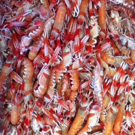 [ARF3234213] Lubina Piscifactoria Nacional 1800-2600 g/pz
