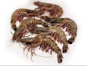 [C3310524] Langostino Black Tiger 50-65 g/pz (16-20) 10x1kg