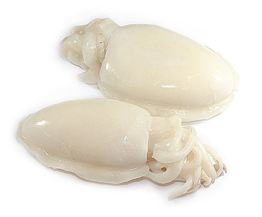 [C3371018] Sepia Limpia Marruecos 1000-2000 g/pz 7kg