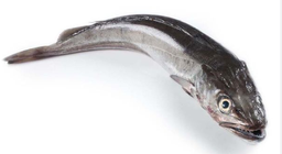 [AR7143] Merluza Pincho Premium S/A 3/4 Kg. Fresco *