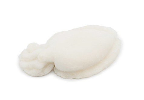 [C3373011] Sepia Limpia India Torry Harris 200-300 g/pz 8kg