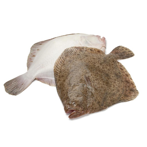 [C3242003] Rodaballo 400-600 g/pz 5kg