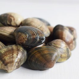 [AR721f] Almeja Cultivo G 30/40 Fresco *