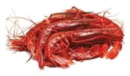 [C3314503] Gamba Carabinero Brillante 8-10 pz/kg (1)