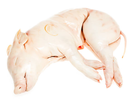 [01029.02] Cochinillo Cong. env. vacio 4-5Kg