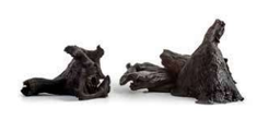 [4948] Trompeta Negra 2,5Kg
